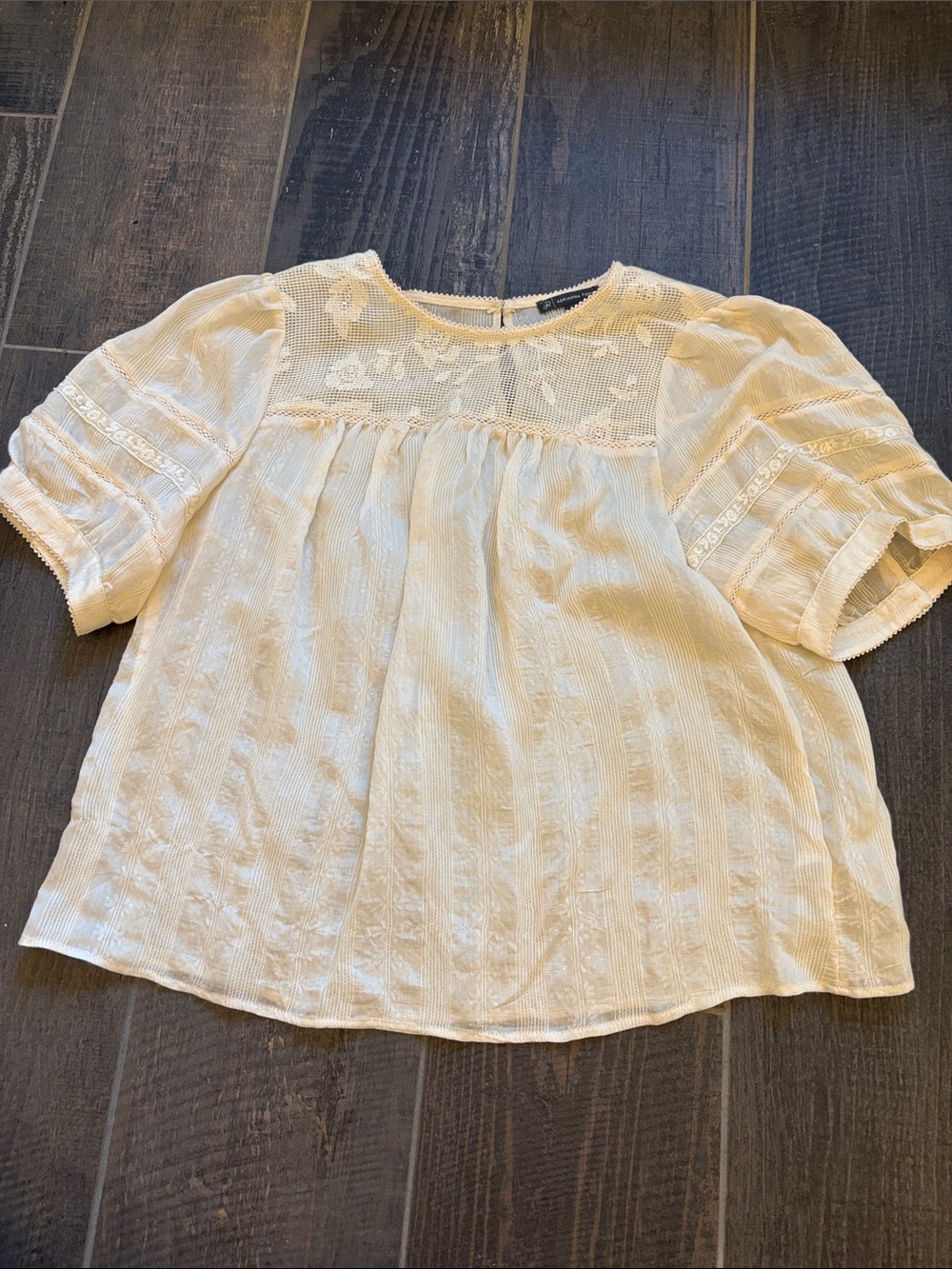 Adrianna Papell Cream Lace Yoke Short Sleeve Blouse